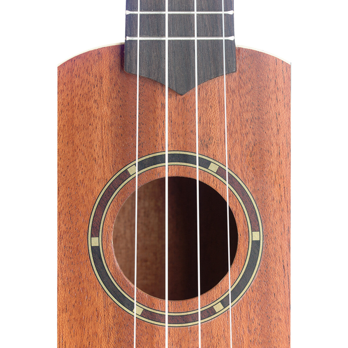 Stagg Concert Ukulele UC-30 Mahogany & Sapele with Gigbag