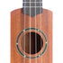 Stagg Concert Ukulele UC-30 Mahogany & Sapele with Gigbag