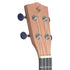 Stagg Concert Ukulele UC-30 Mahogany & Sapele with Gigbag