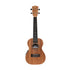 Stagg Concert Electro Ukulele UC-30EMahogany & Sapele with Gigbag