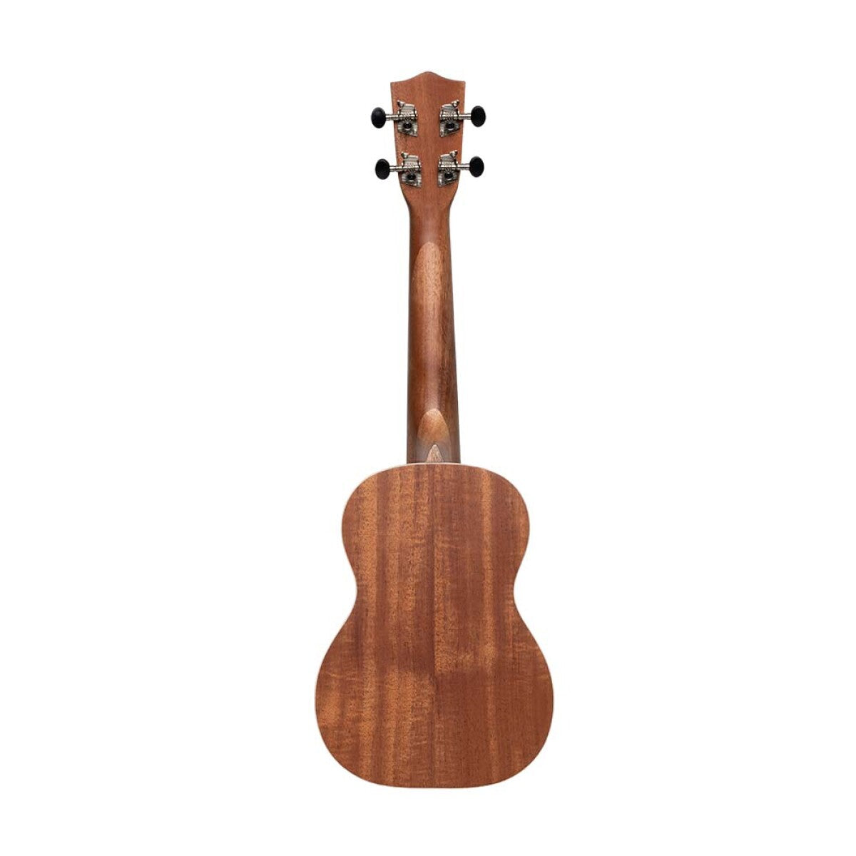 Stagg Concert Ukulele Spruce UC-30 with Gigbag