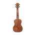 Stagg Concert Ukulele Spruce UC-30 with Gigbag