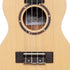 Stagg Concert Ukulele Spruce UC-30 with Gigbag