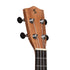 Stagg Concert Ukulele Spruce UC-30 with Gigbag
