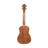 Stagg Soprano Ukulele Spruce US-30 with Gigbag