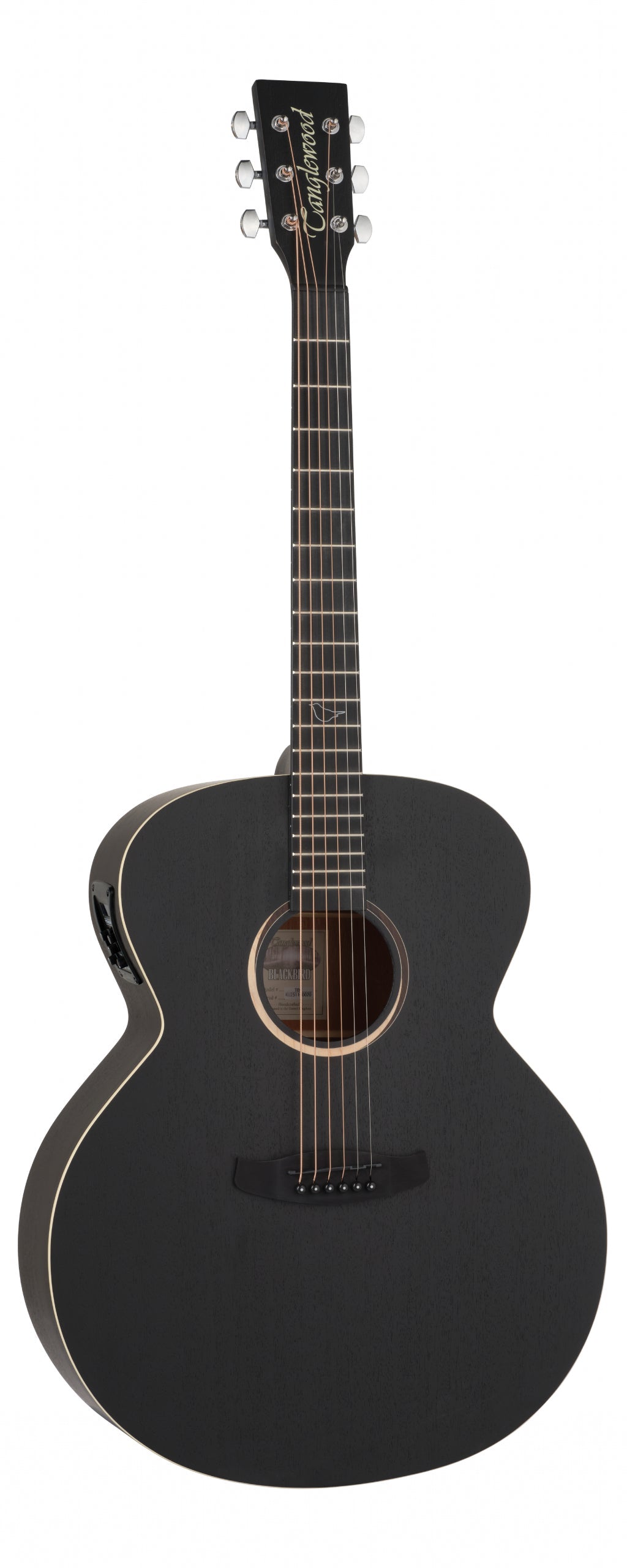 Tanglewood Blackbird TB7E Jumbo Electro Acoustic Guitar