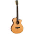 Tanglewood TGB4CE Great Britain 'Super Folk Cutaway' Electro Acoustic Guitar