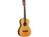 Tanglewood Java TJ8E Parlour Electro Acoustic Guitar