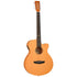 Tanglewood Roadster GT Super Folk with Case in Natural