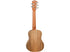 Tanglewood TWT 33'Tenor' 5 String Ukulele, Natural Satin