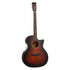 Tanglewood Winterleaf Exotic TWX6CEK Grand Auditorium Acoustic Guitar in Autumn Burst Gloss