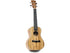 Snail Tenor Ukulele Zebrawood UKT-528E