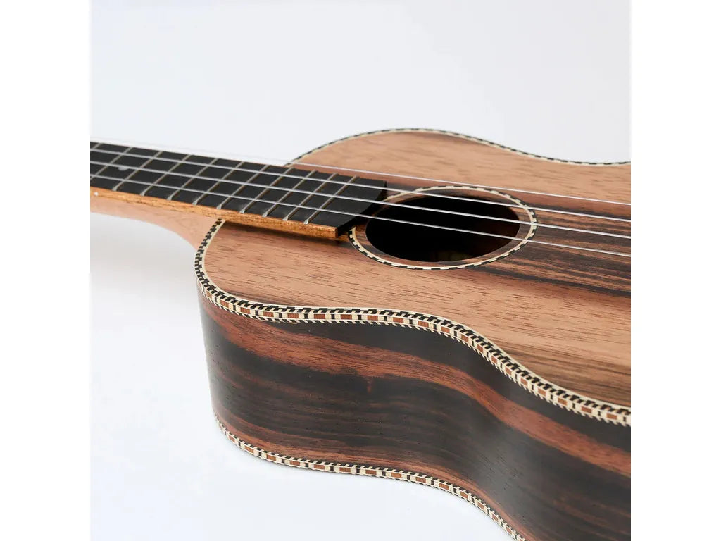 Snail Tenor Ukulele Ebony UKT-E598