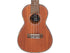 Laka Mahogany Deluxe Series Ukulele & Bag ~ Concert