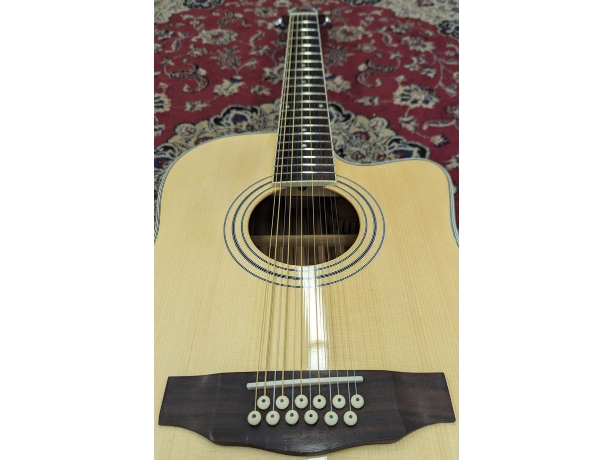 Turner 40CE 12-String Dreadnought Electro Acoustic Guitar