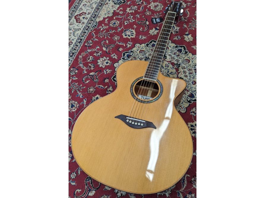 Turner 55CE Jumbo Electro Acoustic Guitar
