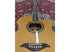 Turner 55CE Jumbo Electro Acoustic Guitar
