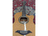 Turner 52CE Grand Auditorium Electro Acoustic Guitar