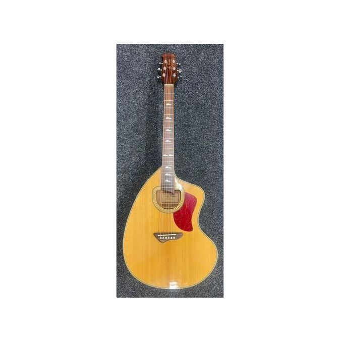 Jay Turser JTA-CRA-6S NG Giannini エレアコ Jay Turser JTA-CRA-6S