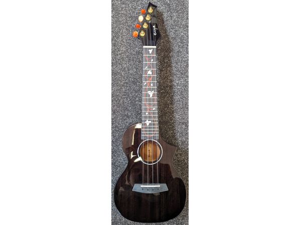 Enya EUC-M6 Black All Solid Mahogany Concert Ukulele