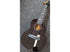 Enya EUC-M6 Black All Solid Mahogany Concert Ukulele