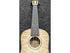 ISUZI QM-C Quilted Maple Concert Ukulele and Gigbag Pre-Owned