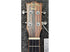 Snail Concert Ukulele Zebrawood UKC-480E