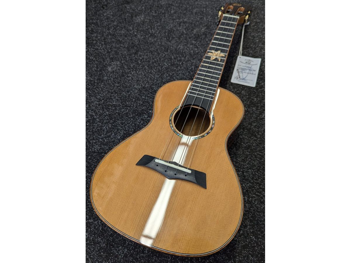 Snail Ukulele Solid Cedar Top Concert BHC-6C