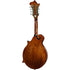 Barnes & Mullins Salvino F-Style Mandolin