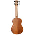 Barnes & Mullins Bass Ukulele Mahogany