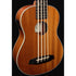 Barnes & Mullins Bass Ukulele Mahogany