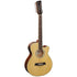 Brunswick 12 String Electro Acoustic Guitar Grand Auditorium in Natural