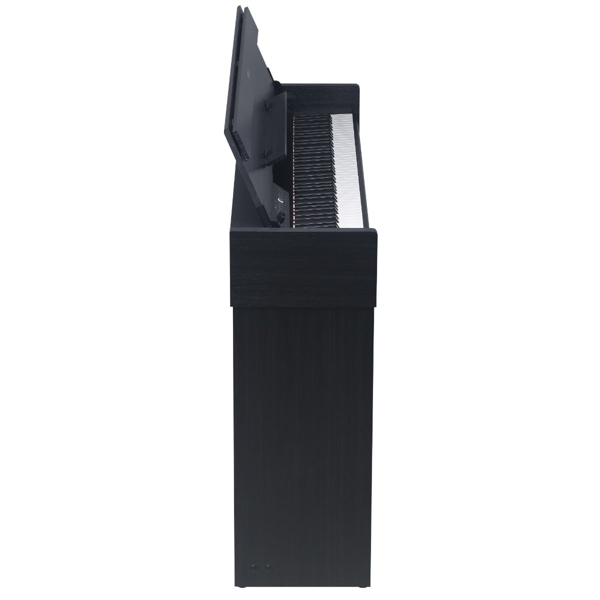 Medeli Andromeda Series Digital Compact Piano 88 Key in Black