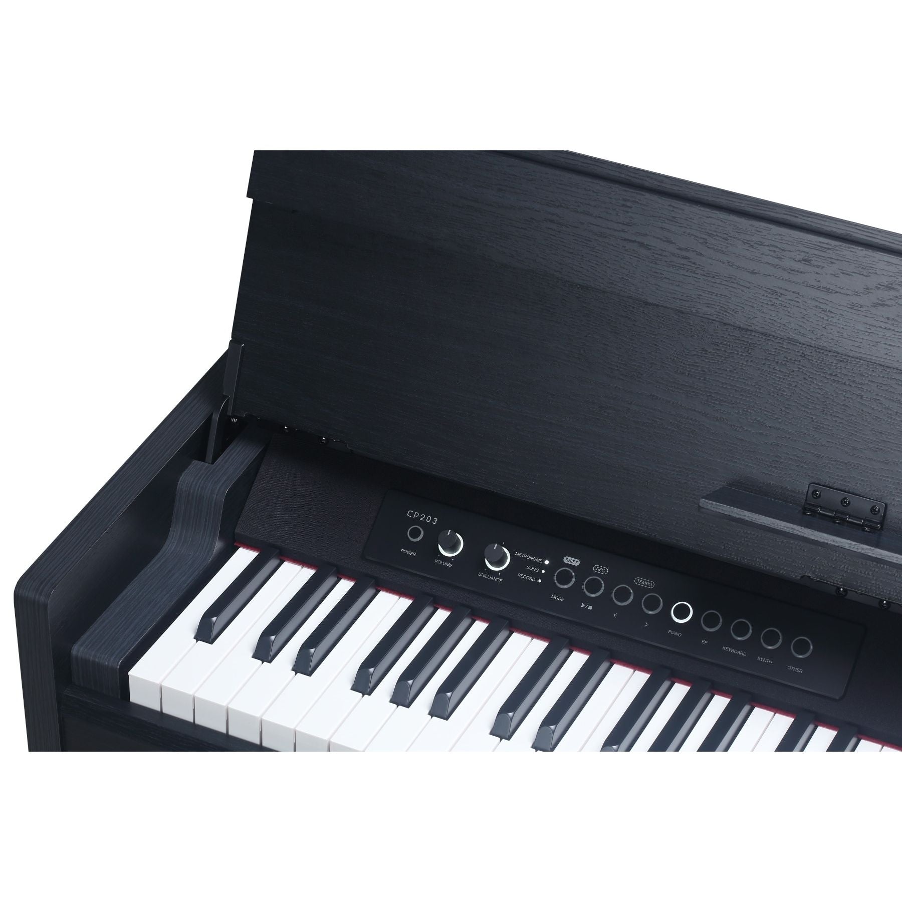 Medeli Andromeda Series Digital Compact Piano 88 Key in Black