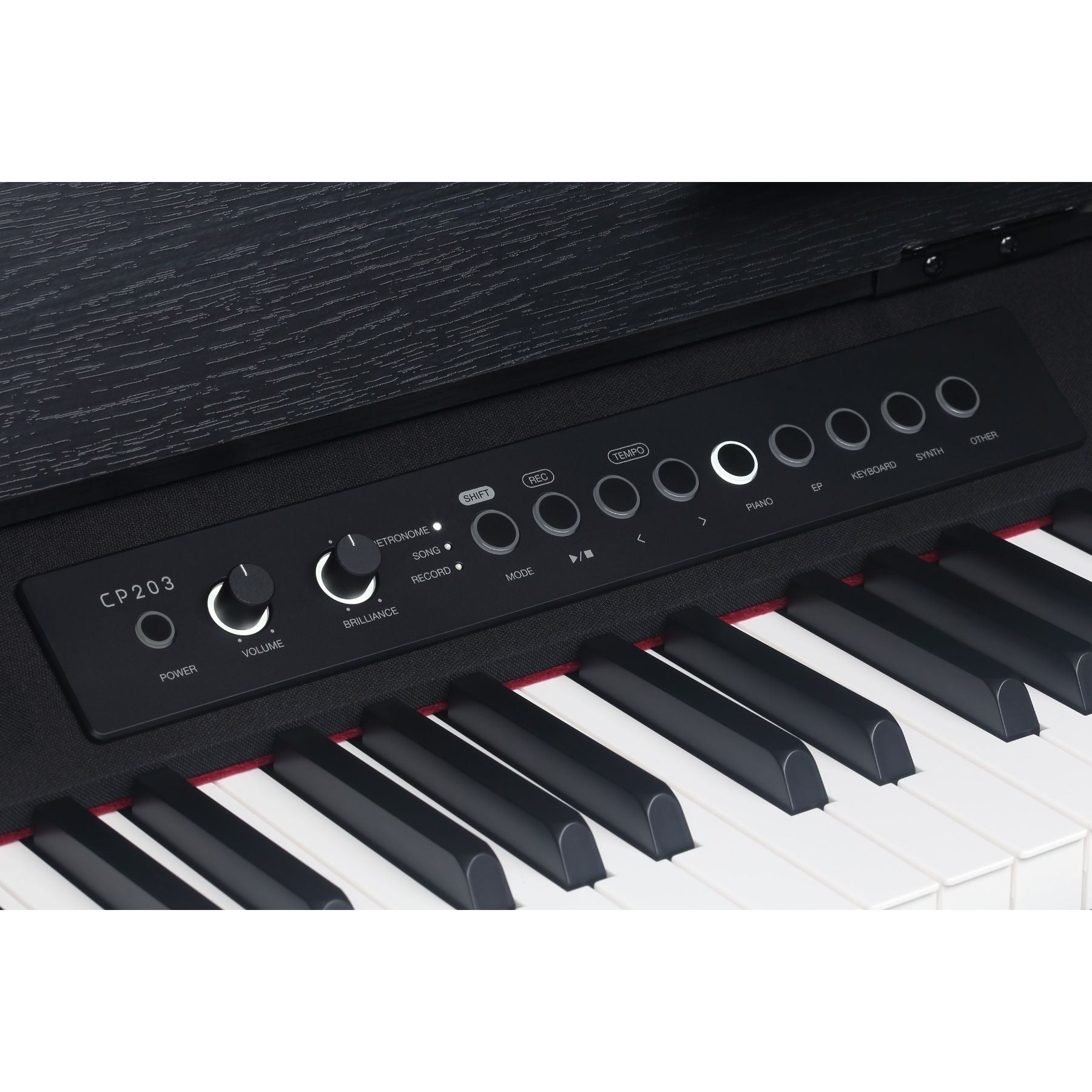 Medeli Andromeda Series Digital Compact Piano 88 Key in Black