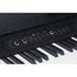 Medeli Andromeda Series Digital Compact Piano 88 Key in Black