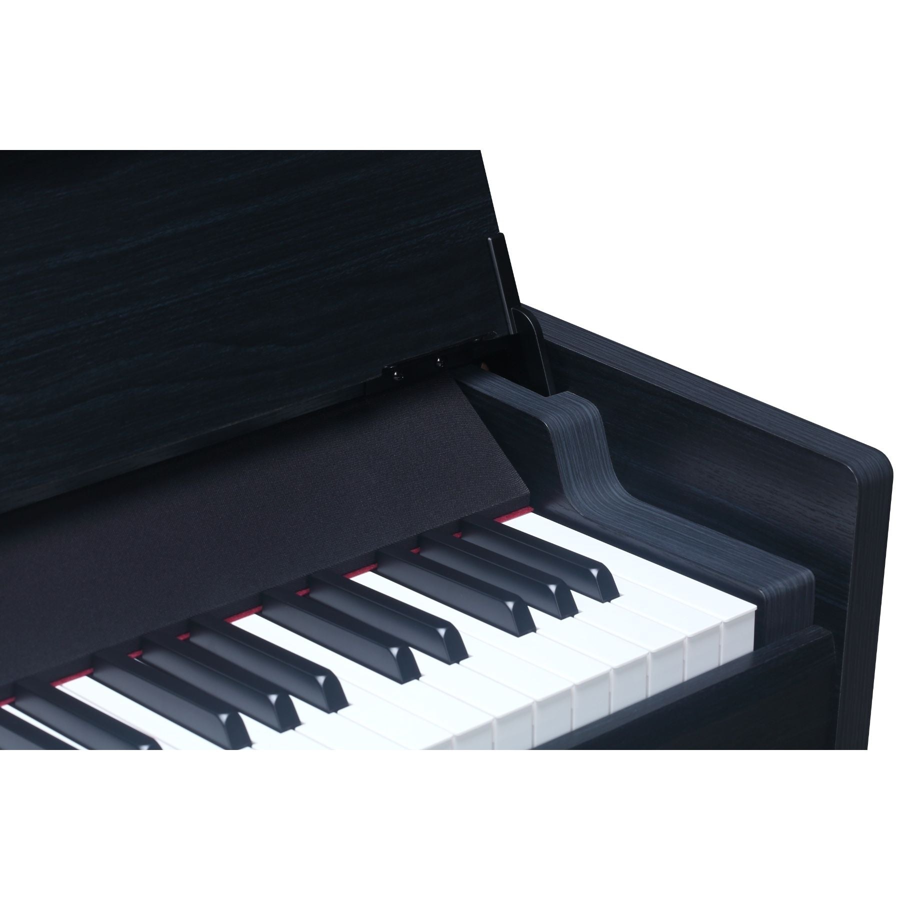Medeli Andromeda Series Digital Compact Piano 88 Key in Black