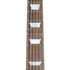 Epiphone IGC 1959 Les Paul Standard Reissue, Royal Tea Burst