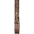 Faith Case Deluxe Saturn 12 String Dreadnought