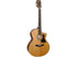 Faith Legacy Neptune Electro/Cut Acoustic Guitar in Khaya Mahogany