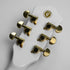 Gould Steelport Electric Guitar in White