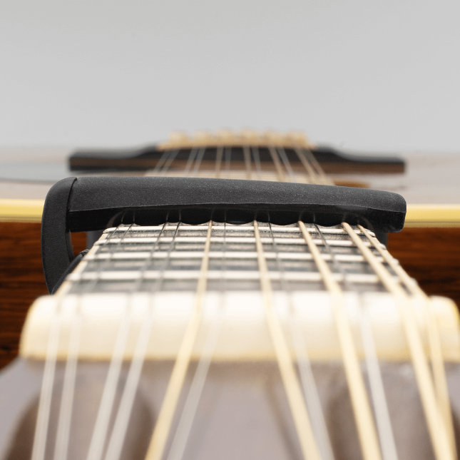 D'ddario Pro Plus Capo, Black