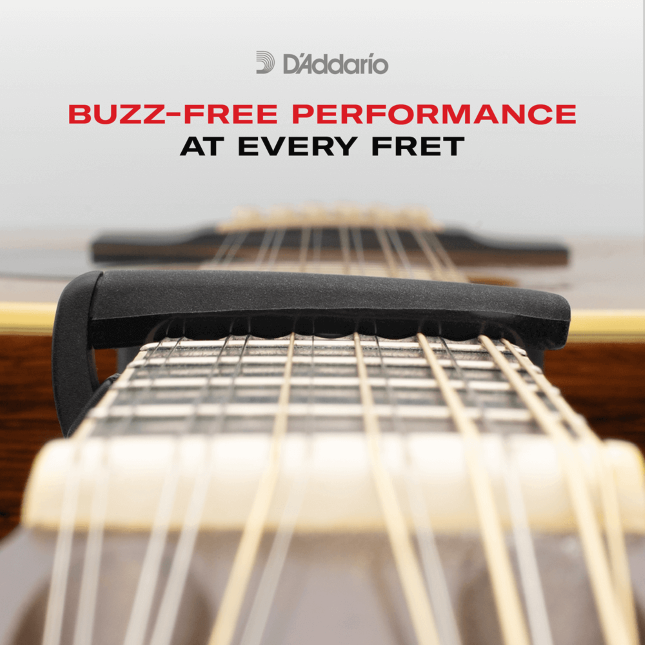 D'Addario Pro Capo, Silver