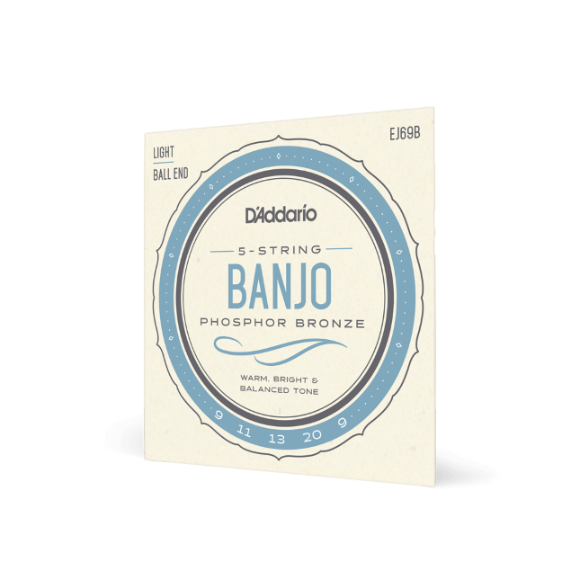 D'Addario EJ69 5-String Ball-End Banjo Strings, Phosphor Bronze, Light, 9-20