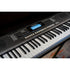 Medeli Millennium Series Keyboard 61 Key in Black
