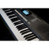 Medeli Millennium Series Keyboard 61 Key in Black