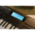 Medeli Nebula Series Keyboard 49 Key in Black