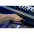 Medeli Nebula Series Keyboard 61 Key in Black
