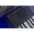 Medeli Nebula Series Keyboard 61 Key in Black