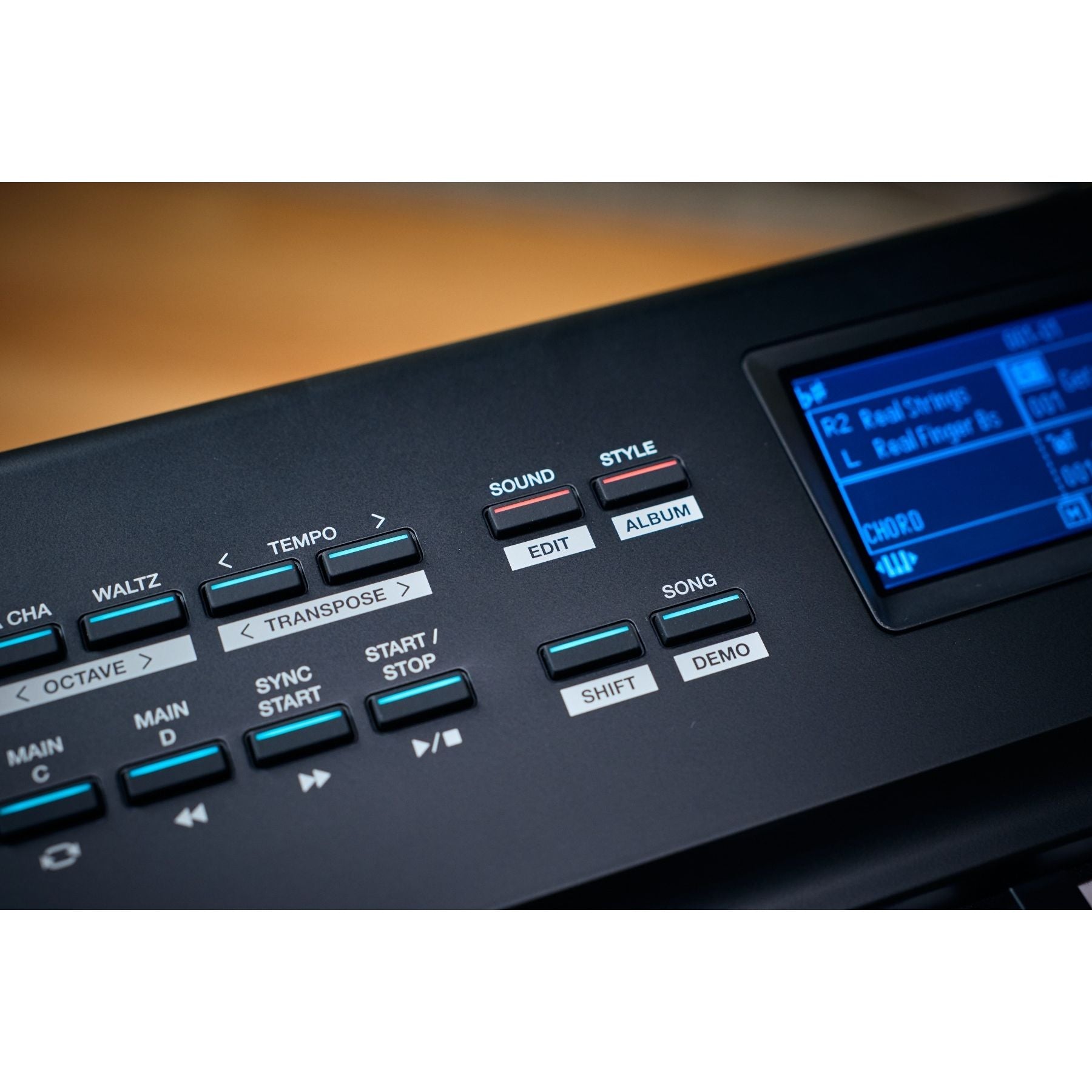 Medeli Performer Series Digital Compact Stage Piano Bluetooth 88 Key in Black